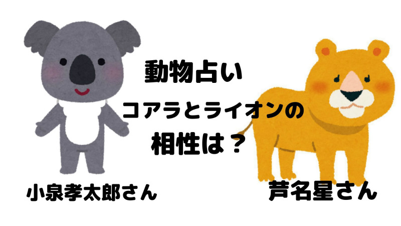 動物占い コアラ ライオンの相性は 小泉孝太郎さんと芦名星さんの場合 まるごとハグハグ